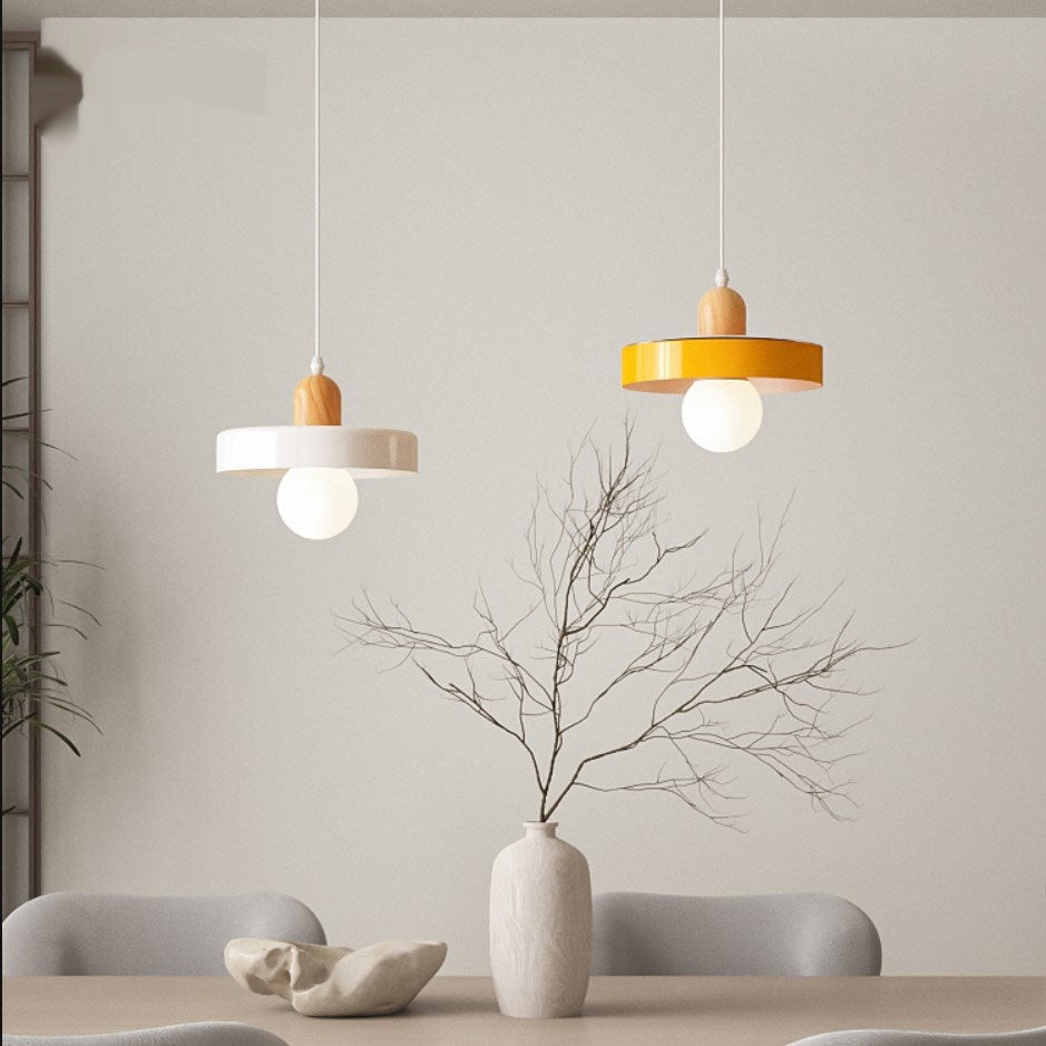 Nordic Frosted Globe Pendant Light