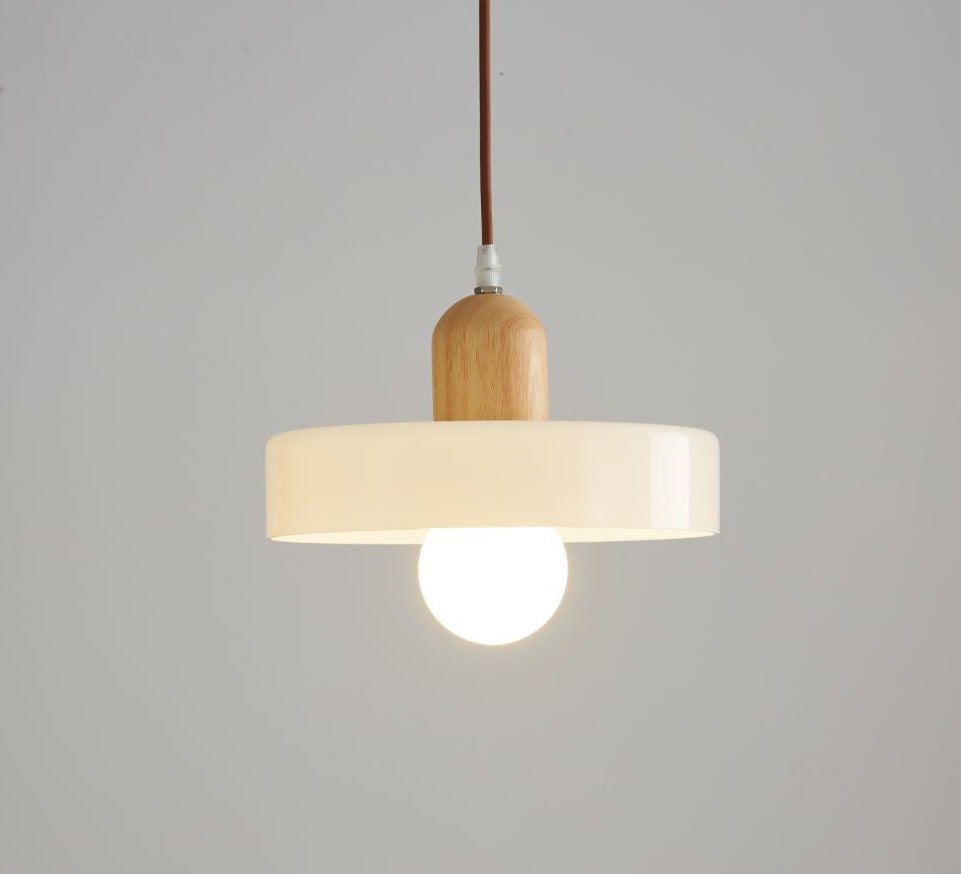 Nordic Frosted Globe Pendant Light