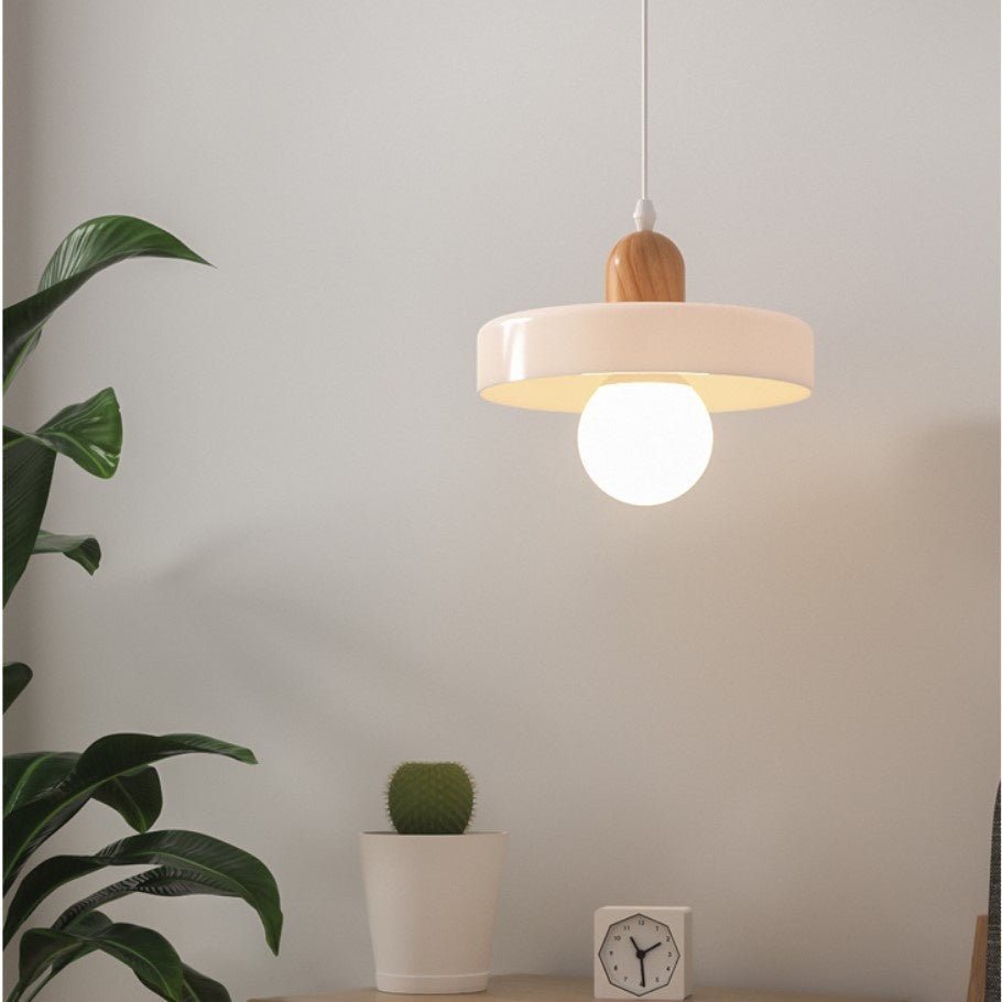Nordic Frosted Globe Pendant Light