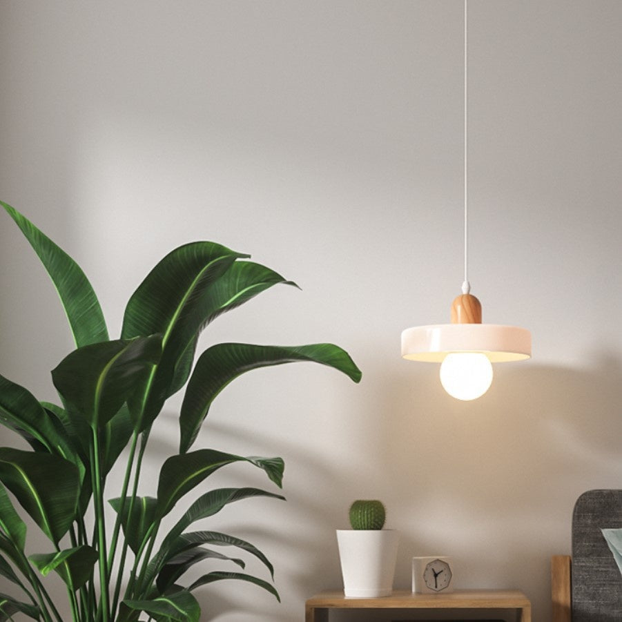 Nordic Frosted Globe Pendant Light