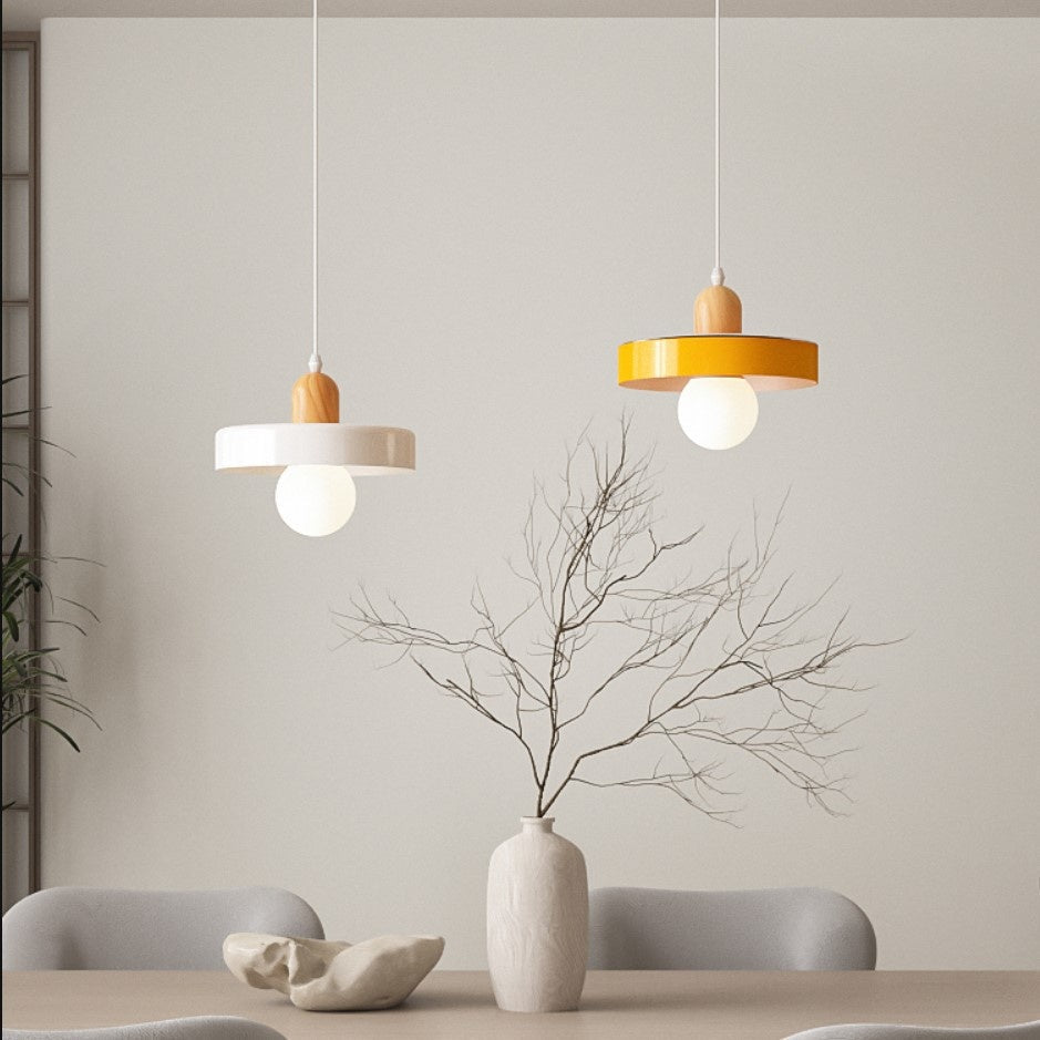 Nordic Frosted Globe Pendant Light