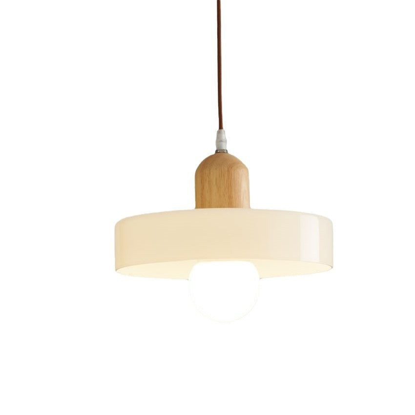 Nordic Frosted Globe Pendant Light