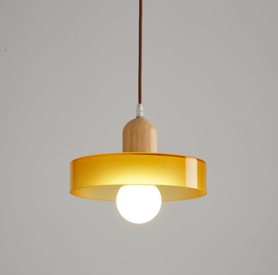 Nordic Frosted Globe Pendant Light